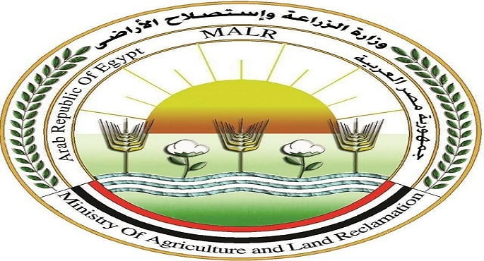 الزراعة: المجازر الحكومية تستقبل أكثر من 9800 أضحية خلال أول أيام العيد