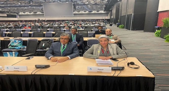 وزيرة البيئة: نسعى للاستفادة من النتائج الإيجابية لمؤتمر المناخ COP27 في دفع أجندة التنوع البيولوجي
