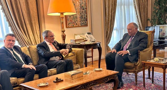 بالصور .. شكري ووفد البرلمان الأوروبي يؤكدان على أهمية تعزيز التعاون البرلماني