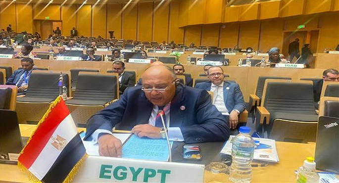وزير الخارجية يطالب بتعديل التشكيل الحالي لمجلس السلم والأمن الإفريقي