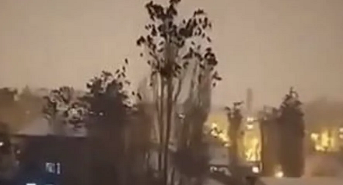 فيديو يرصد حركة غريبة للطيور قبل زلزال تركيا