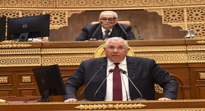 وزير الزراعة أمام الشيوخ: مصر حققت اكتفاءا ذاتيا في 9 مجموعات محصولية