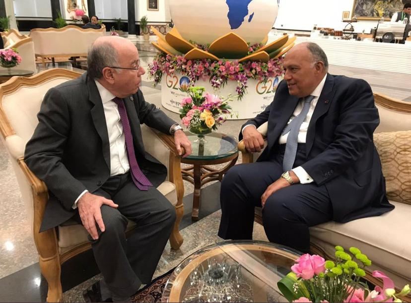 شكري ونظيره البرازيلي يؤكدان أهمية استمرار تنشيط اتفاقية التجارة الحرة بين مصر والميركسور