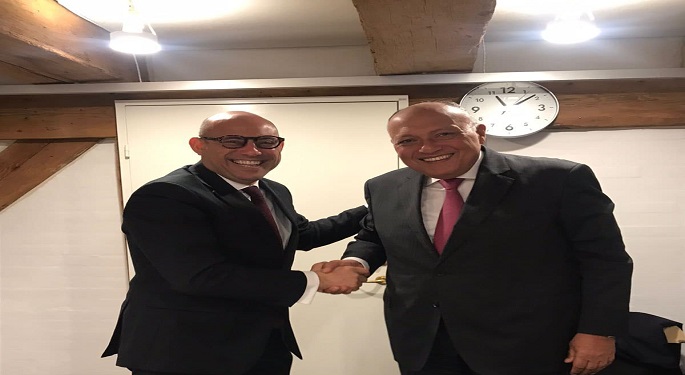 شكري يبحث مع سكرتير اتفاقية الأمم المتحدة لتغير المناخ تنفيذ مخرجات COP27