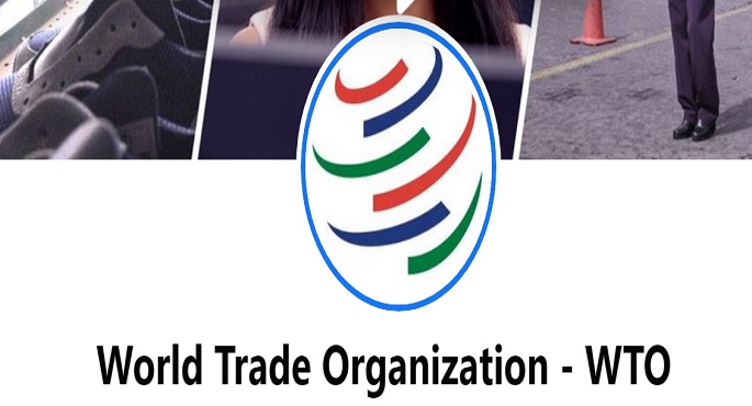 مصر تعرض أولويات الدول النامية على أجندة النظام التجاري متعدد الأطراف خلال عام 2023