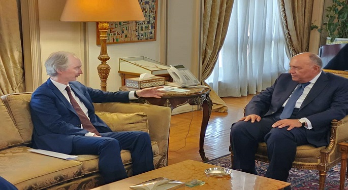 وزير الخارجية يشدد على أهمية إحياء العملية السياسية لتسوية الأزمة السورية