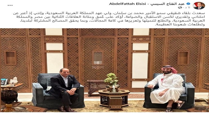 الرئيس السيسي يؤكد عُمق ومتانة العلاقات الثنائية بين مصر والسعودية