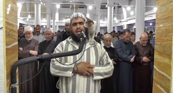 تكريم إمام مسجد جزائري صاحب فيديو القطة الذي حقق أكثر من مليار ونصف مشاهدة