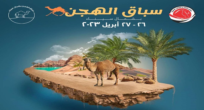 بالتعاون مع ثلاث وزارات .. انطلاق سباق للهجن بشمال سيناء يومي 26 و 27 أبريل