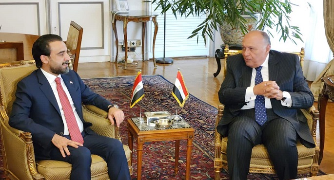 بالصور .. وزير الخارجية يؤكد دعم مصر الكامل لأمن واستقرار العراق وجهوده في الحرب على الإرهاب