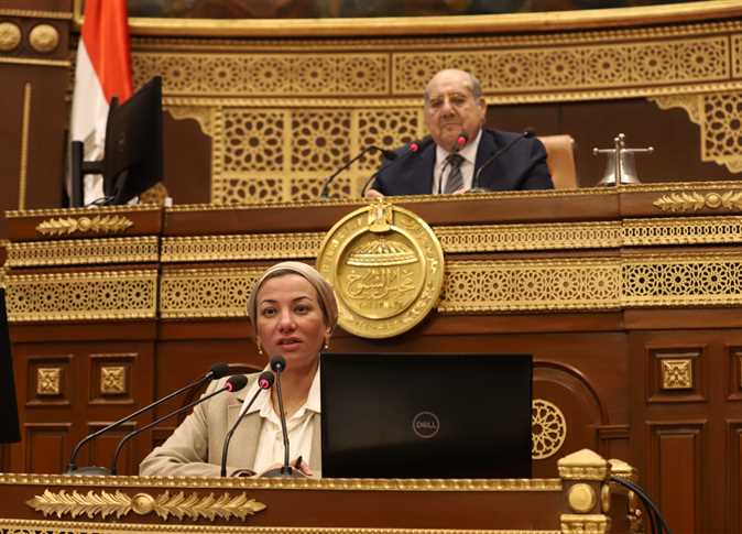 وزيرة البيئة أمام الشيوخ: تم استحداث وحدة للاستثمار البيئي والمناخي