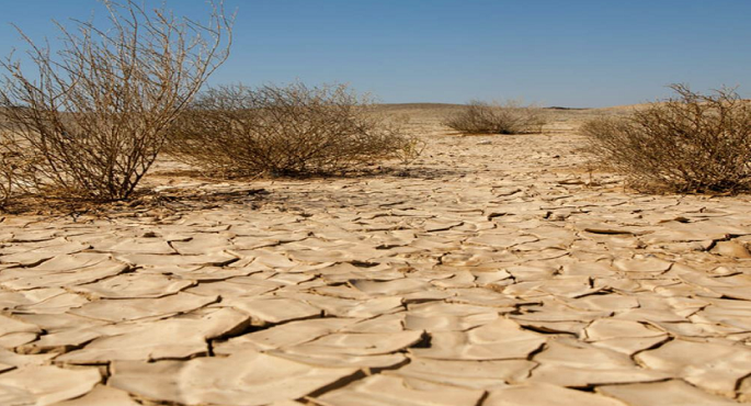 علماء يتوقعون تصحر غابات حوض البحر الأبيض المتوسط