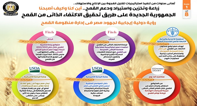 بالإنفوجراف… زراعة وتخزين واستيراد ودعم القمح .. أين كنا وكيف أصبحنا