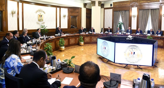 مدبولي يناقش إجراءات دعم صناعة الدواء ويؤكد أنه التوقيت الأنسب لتوطين وتعميق التصنيع المحلي