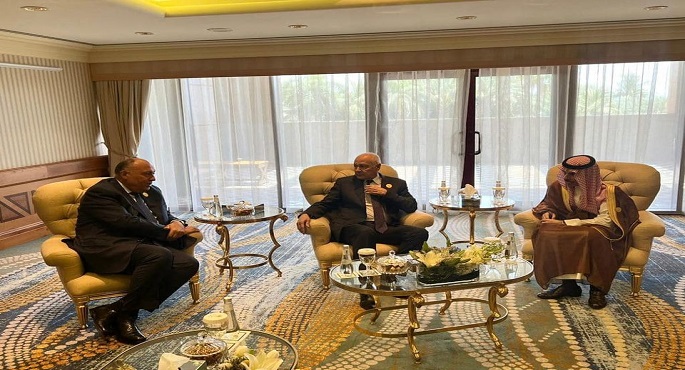 بالصور.. وزير الخارجية يشارك في الاجتماع الأول لمجموعة الاتصال العربية الوزارية المعنية بالوضع في السودان