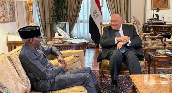 بالصور.. وزير الخارجية يستقبل مفوض الشئون السياسية والسلم والأمن بالاتحاد الأفريقي