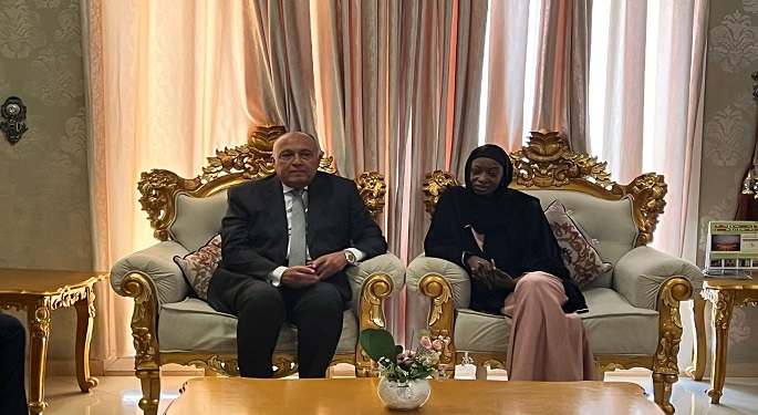 وزير الخارجية يصل ندجامينا في مستهل زيارة إلى تشاد وجنوب السودان
