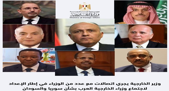 شكري يجري اتصالات هاتفية مع وزراء خارجية السودان والسعودية والعراق والجزائر والأردن وجيبوتي وكينيا