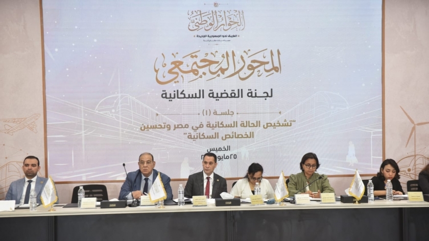 مقرر لجنة القضية السكانية بالحوار الوطني: لابد من جعل الهرم السكاني قاطرة للتنمية