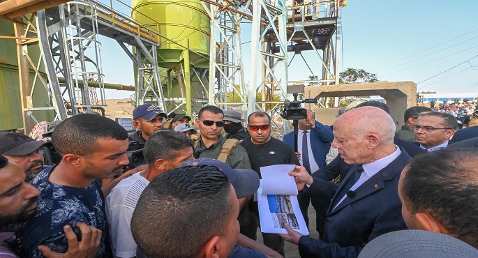 قيس سعيد: تونس في حاجة لكل ثرواتها الوطنية لمواجهة التحدّيات الاقتصادية