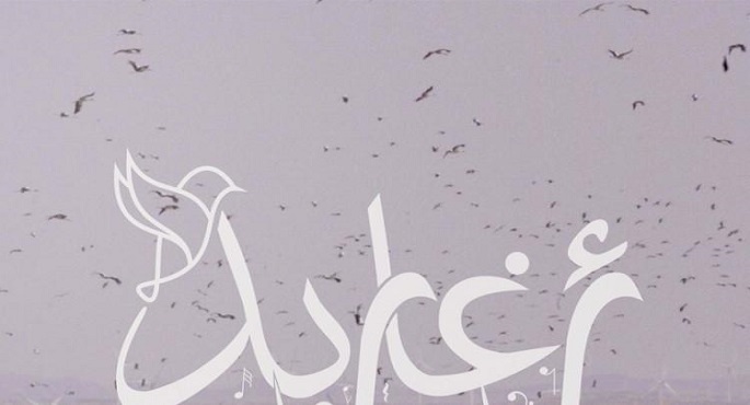 الفيلم الوثائقي المصري “أغاريد” يشارك في مهرجان سينمائي دولي بأمريكا