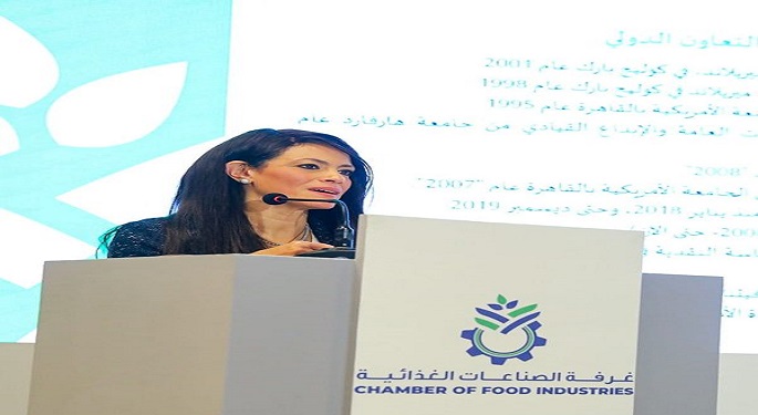 المشاط تستعرض البرامج المشتركة مع عدد من المؤسسات العربية والدولية بشأن الأمن الغذائي