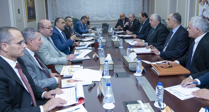 بالصور.. وزيرا الإنتاج الحربي والزراعة يتابعان تنفيذ مشروعات التعاون المشترك بين الجانبين