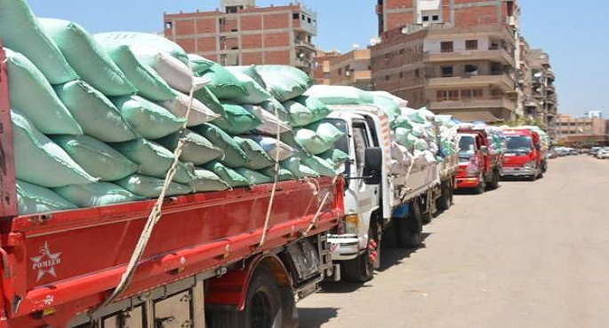 وزارة التموين : عودة العمل في مراكز تجميع الأقماح المحلية اليوم