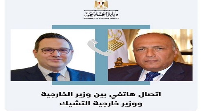 شكري يؤكد ضرورة إنفاذ هدنة إنسانية فورية في قطاع غزة