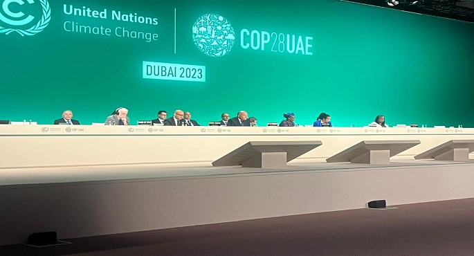 رئيس (COP28): أقدر دور مصر الريادي في رئاسة مؤتمر المناخ بشرم الشيخ