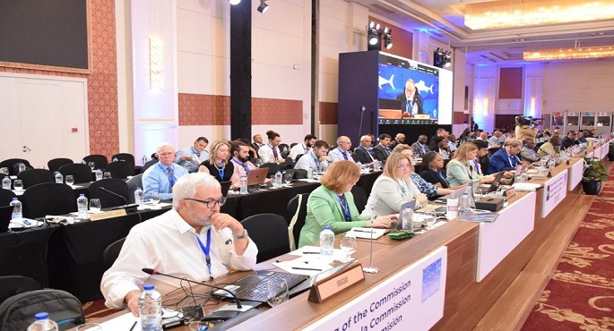 المتحدث العسكرى : الشركة الوطنية للثروة السمكية والأحياء المائية تنظم المؤتمر السنوى للدول الأعضاء بمنظمة ” ICCAT “