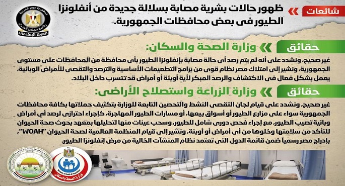 الحكومة تنفى ظهور حالات بشرية مصابة بسلالة جديدة من أنفلونزا الطيور في بعض محافظات الجمهورية