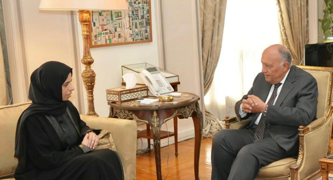 وزير الخارجية يشدد على ضرورة وقف إطلاق النار ودخول المساعدات لغزة بشكل آمن ومستدام دون عوائق