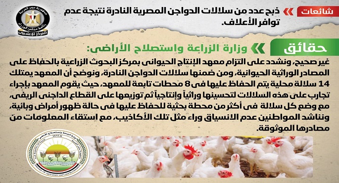 الحكومة تنفي ذبح عدد من سلالات الدواجن المصرية النادرة نتيجة عدم توافر الأعلاف