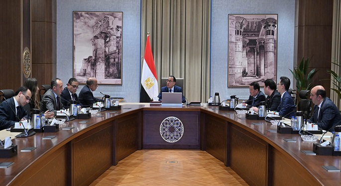 مدبولي: مصر تولي أهمية لتوطين صناعات مكونات مشروعات الطاقة المتجددة