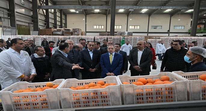 بالصور .. رئيس الوزراء يتفقد محطة شركة “جامكو” لتعبئة البرتقال واليوسفي بالنوبارية