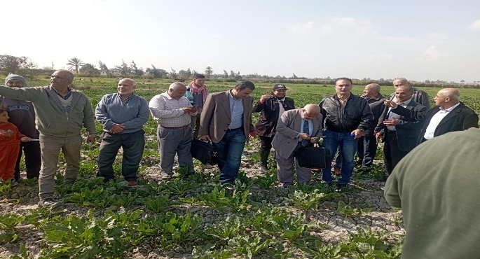 بالصور .. وزارة الزراعة: الفرق الإرشادية الريفية للمحاصيل الشتوية و الإنتاج الحيواني تنفذ أنشطتها في 21 محافظة