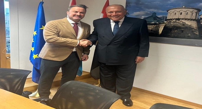 شكري يؤكد الرفض الكامل للدعاوى المطروحة في بعض الأروقة الإسرائيلية حول تهجير الفلسطينيين من غزة إلى مصر