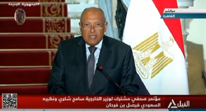 شكري يجدد التأكيد على المطالبة بالوقف الفوري والشامل لإطلاق النار في قطاع غزة