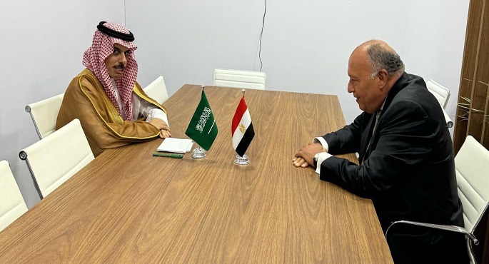 شكري يتبادل الرؤى مع نظيره السعودي بشأن تطورات الحرب الإسرائيلية على غزة