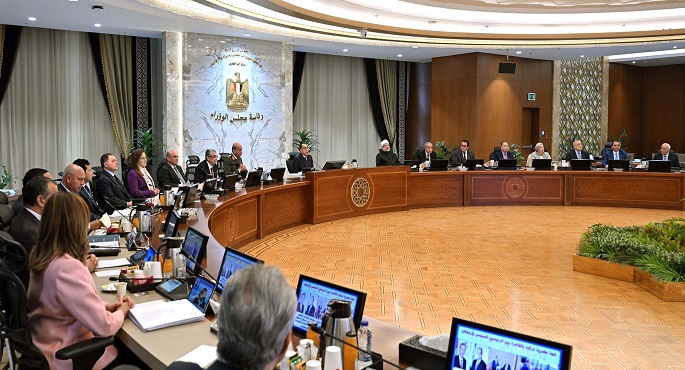 مجلس الوزراء يحدد سعر ضمان لتوريد القطن للموسم 2024-2025