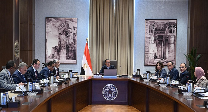مدبولي يستعرض موضوعات متعلقة بالحوافز التي من شأنها زيادة نسبة الطاقة المتجددة في مزيج الطاقة