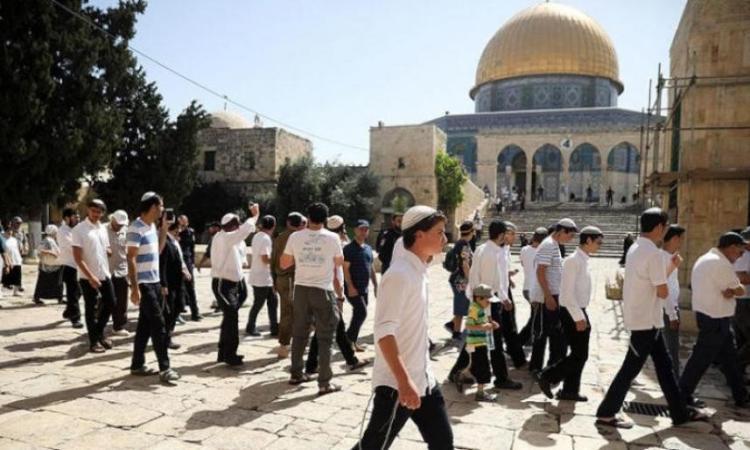 مستوطنون إسرائيليون يحاولون اقتحام المسجد الأقصى
