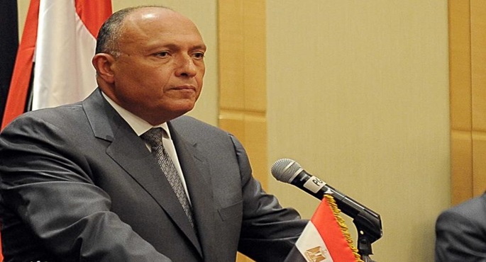 وزير الخارجية يبحث مع المقداد سبل حلحلة الأزمة السورية