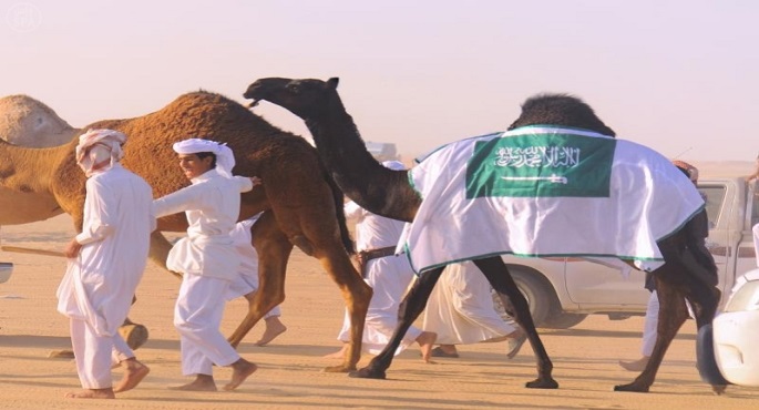 السعودية تشارك في مسيرة الإبل بباريس للتعريف بـ عام الإبل