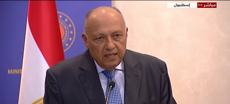 وزير الخارجية يشكر الوزير سامح شكرى على وضعه أسس حملة الترشيح المصرى لليونسكو
