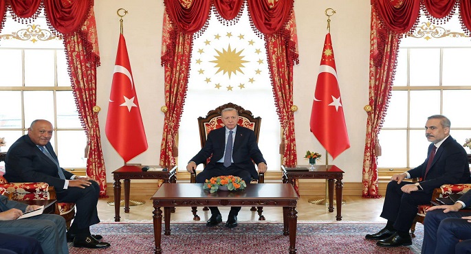 خلال لقائه أردوغان بإسطنبول.. شكري: زيارتي لإسطنبول جاءت ضمن الإعداد لزيارة الرئيس السيسي إلى تركيا