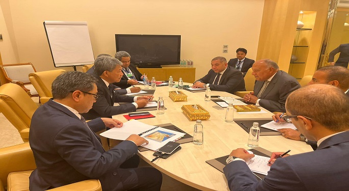 توافق مصري ماليزي على تعزيز العلاقات واستمرار التشاور بشأن القضايا محل الاهتمام المشترك