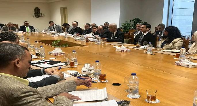 انعقاد اللجنة الدائمة لمُتابعة العلاقات المصرية الإفريقية
