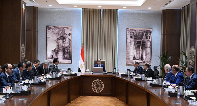 بالصور.. رئيس الوزراء يتابع مع ممثلي قطاع الدواء سبل توطين الصناعة وزيادة معدلات التصدير
